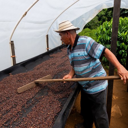 Kombo - Las Perlas – Bild 4