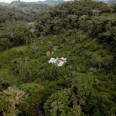 Kombo - Coiba – Bild 5