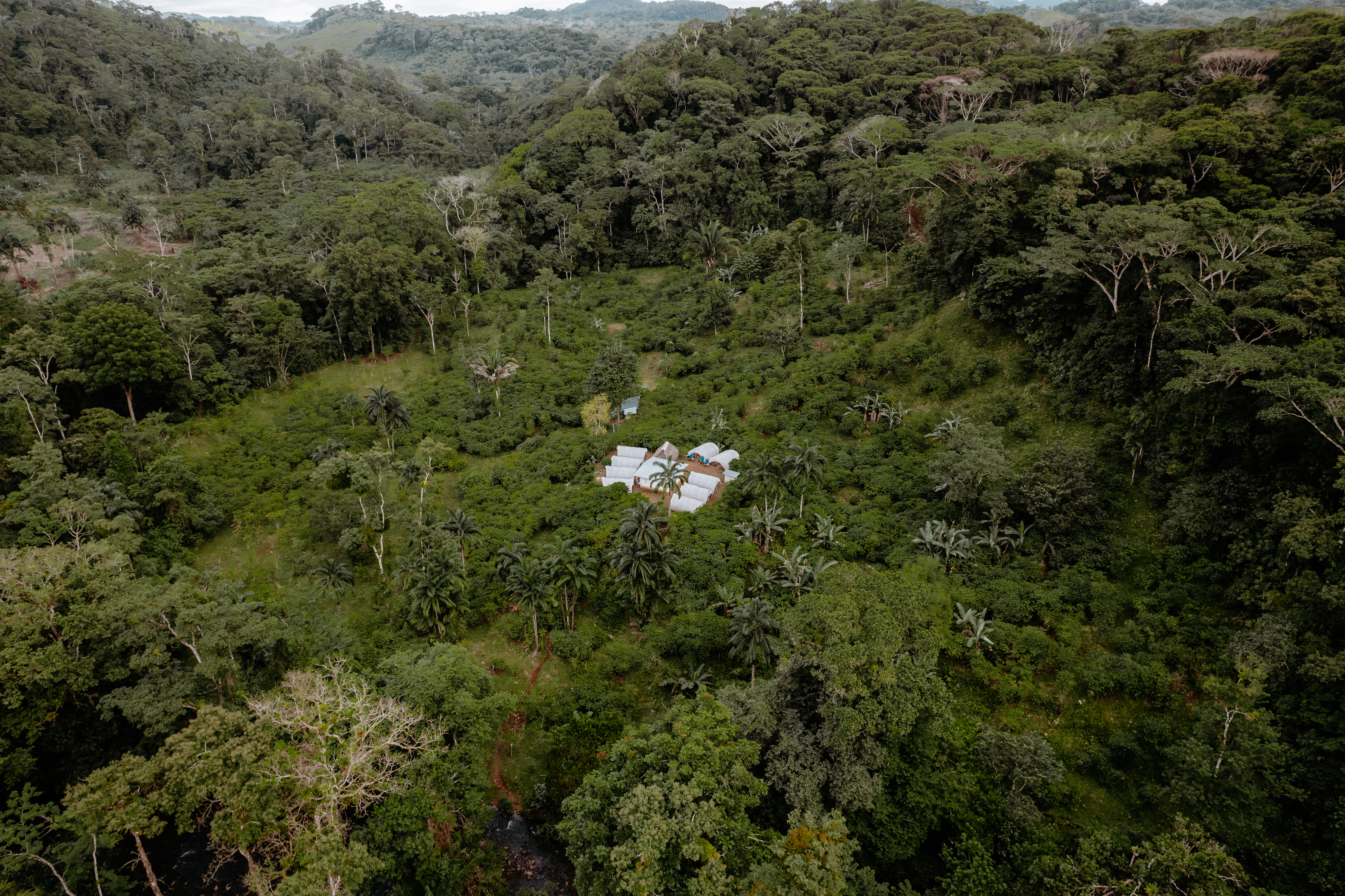 Kombo - Coiba – Bild 5