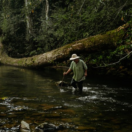 Kombo - Coiba – Bild 4