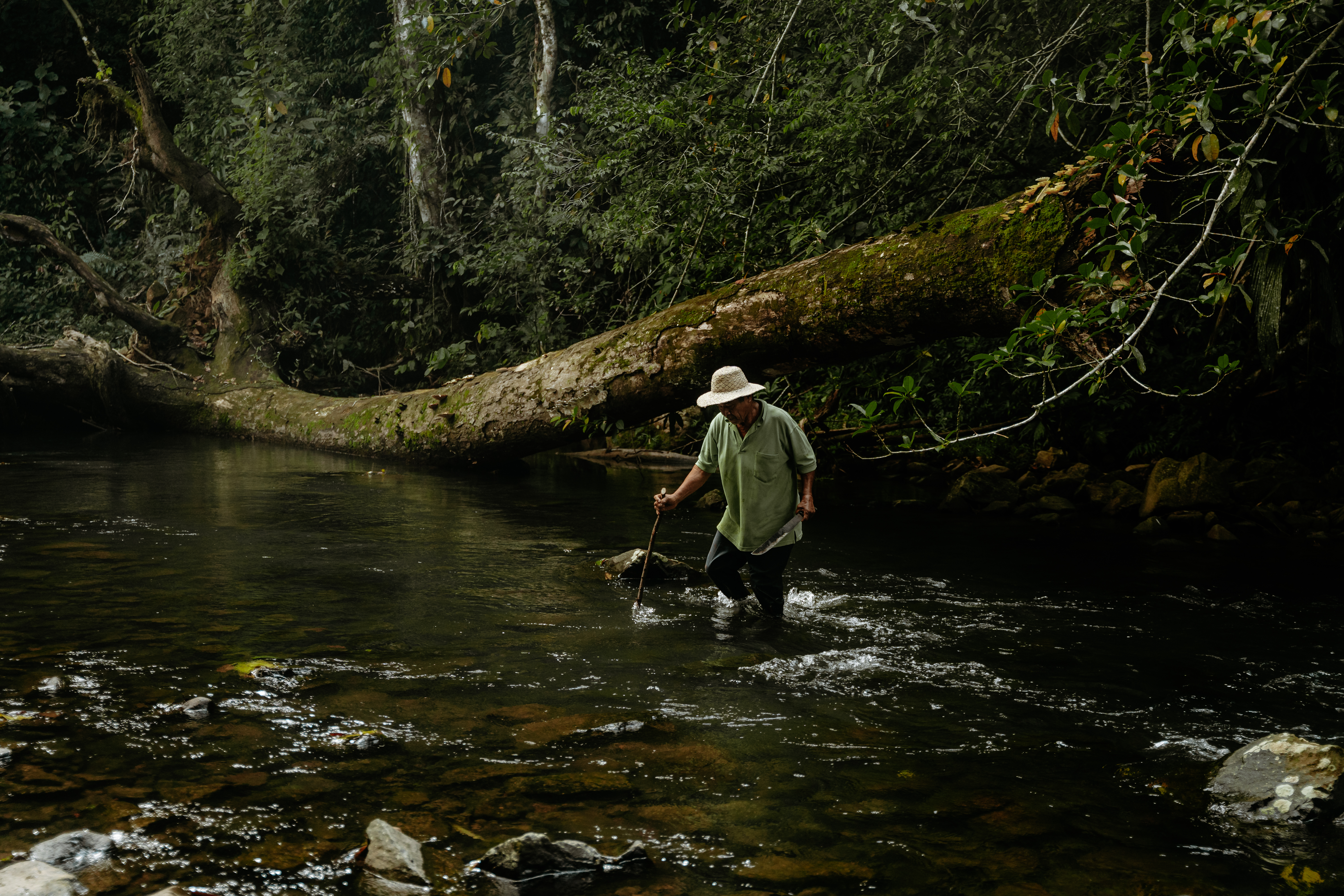 Kombo - Coiba – Bild 4