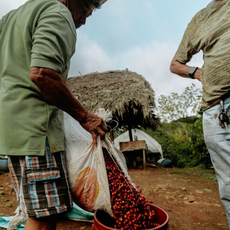 Espresso Nganda - 250g Beutel – Bild 3