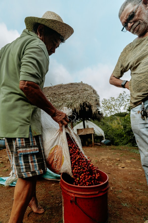 Espresso Nganda - 250g Beutel