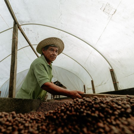 Espresso Nganda - 250g Beutel – Bild 4