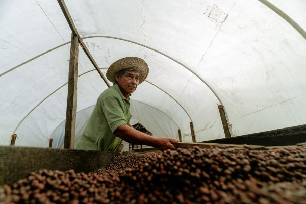 Espresso Nganda - 250g Beutel