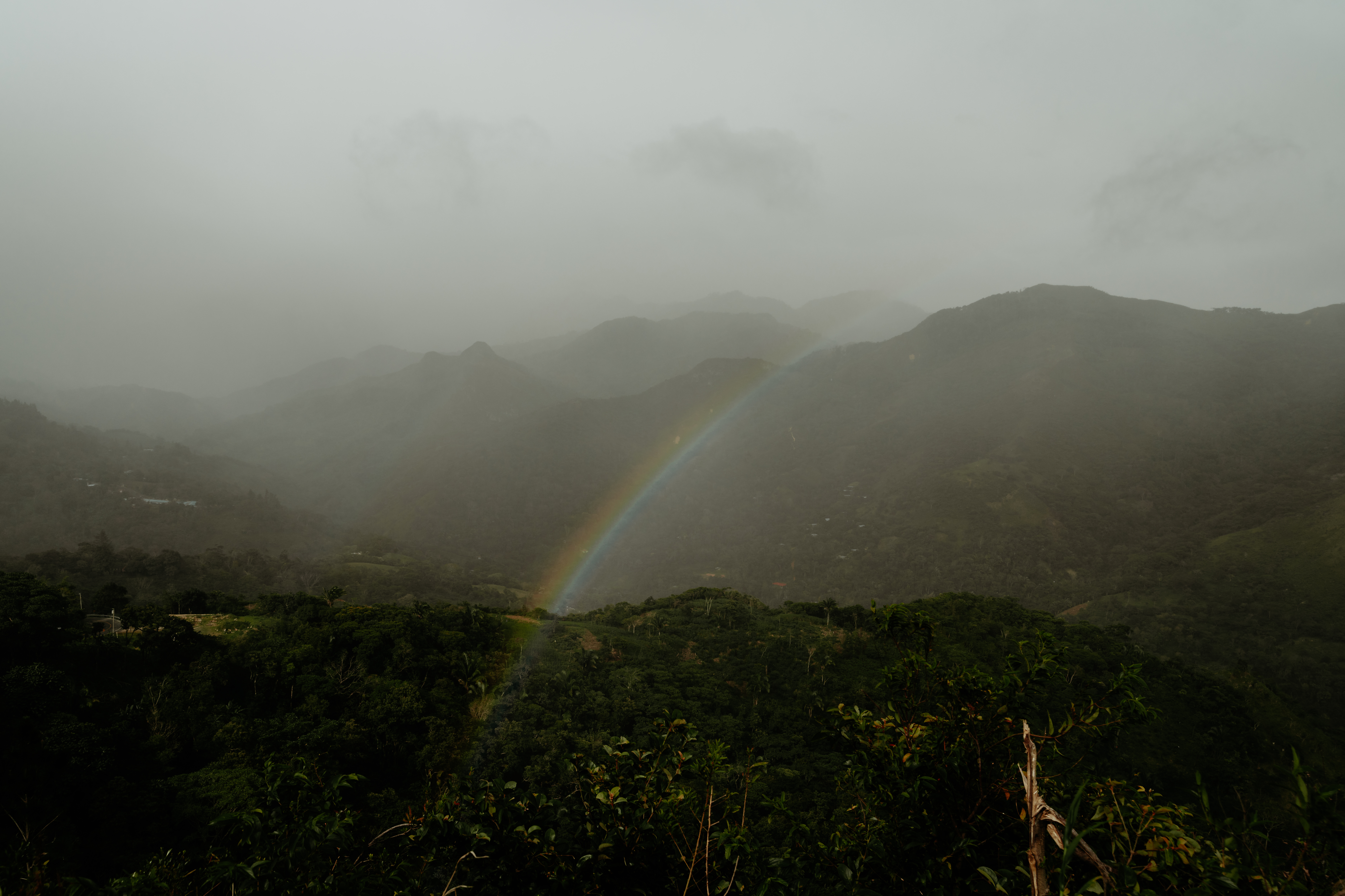 Espresso Nganda - 250g Beutel – Bild 5