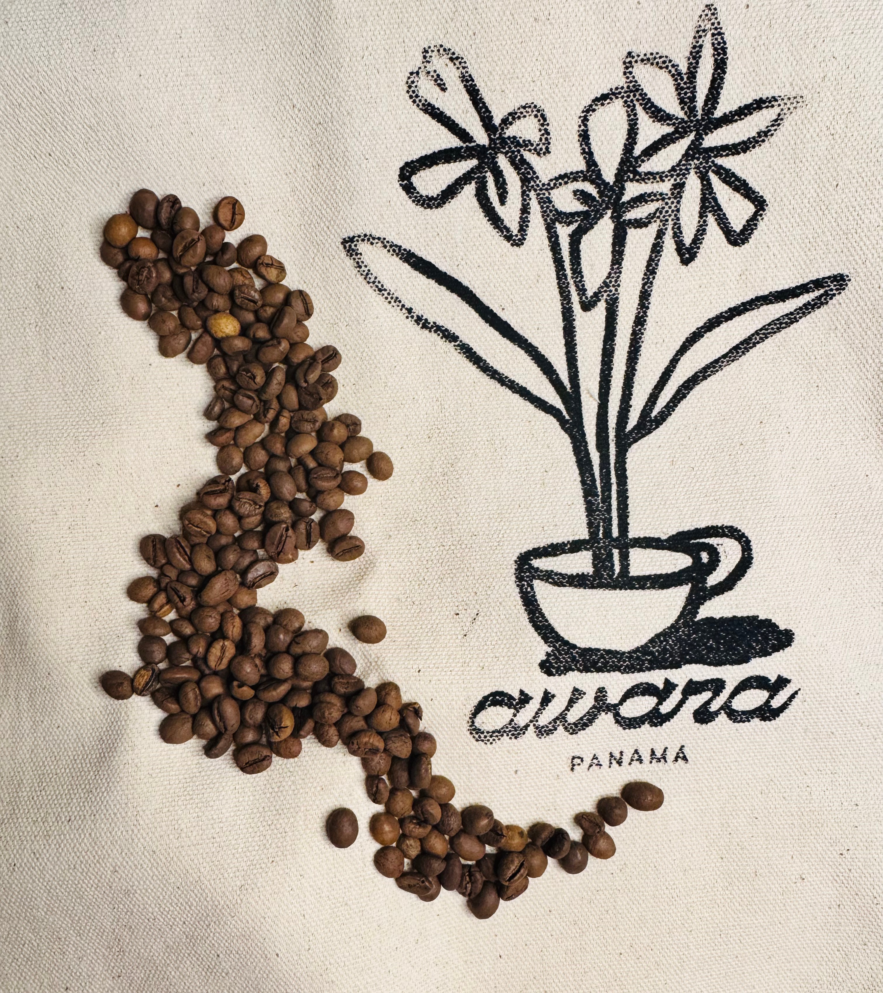 Espresso Nganda (1kg) - 2 x 500g – Bild 2